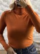The-Viscose TurtleNeck Top-1217/Ecai