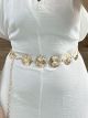 Metallic Belt/Disks3