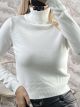 Turtleneck Cropped Top-3208/White